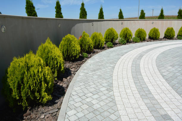 Best Permeable Paver Driveway  in Washoe Valley, NV
