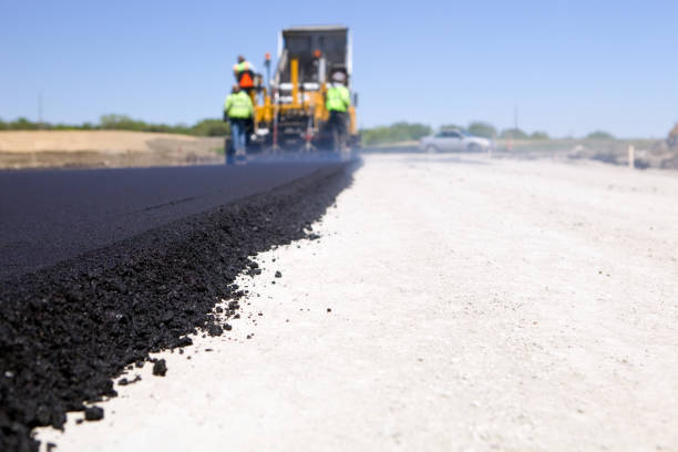 Best Interlocking Driveway Pavers  in Washoe Valley, NV