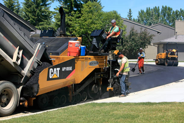 Best Driveway Paver Repair  in Washoe Valley, NV